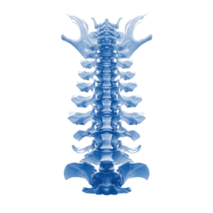 Специализирана мануална терапия: Революция в лечението на гръбнака 2 специализирана мануална терапия