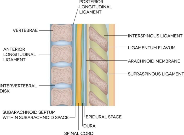 Остеохондроза 5 Рехабилитация при херния